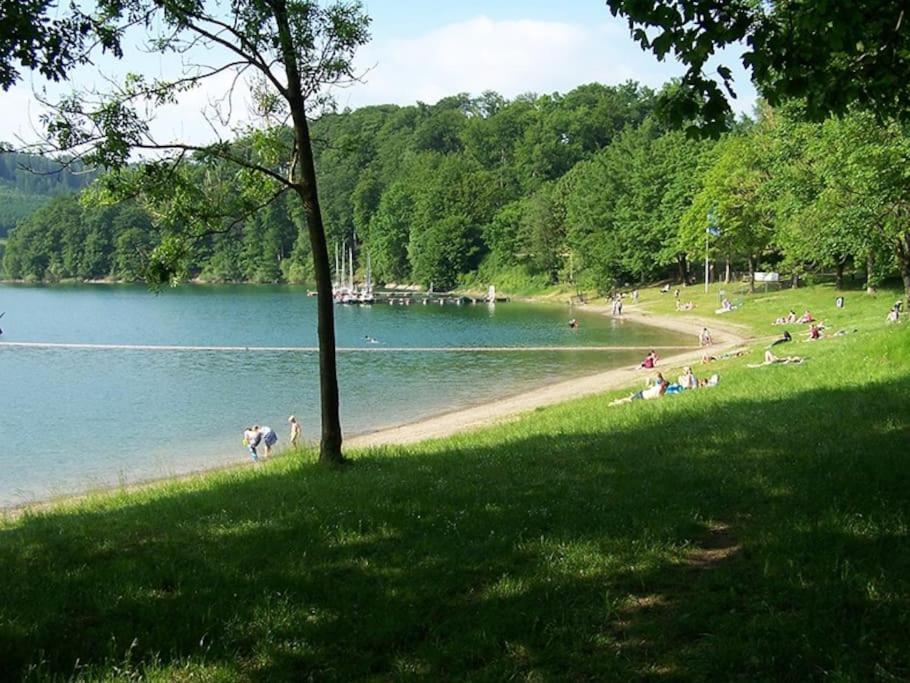 Ferienhaus Lena Im Sauerland Direkt Am Hennesee 메체데 외부 사진